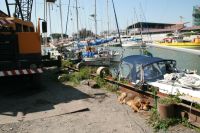 Varvshunden, vktare p Fulvios boat yard