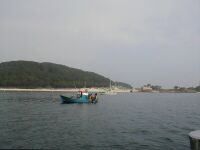 Lokala fiskare drar not alldeles bredvid oss vid Islas Cis