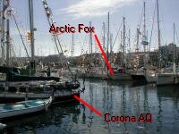 Corona AQ och Arctic Fox