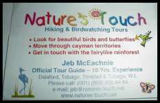 Nature's Touch